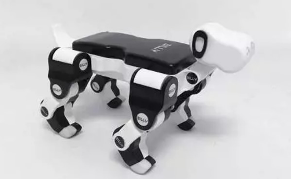 �����C����